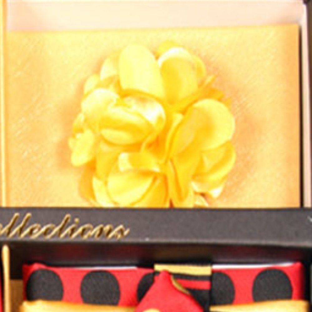 Daniel Ellissa Red Yellow Dot Bow & Neck Tie 6 Set - Picture 5 of 6